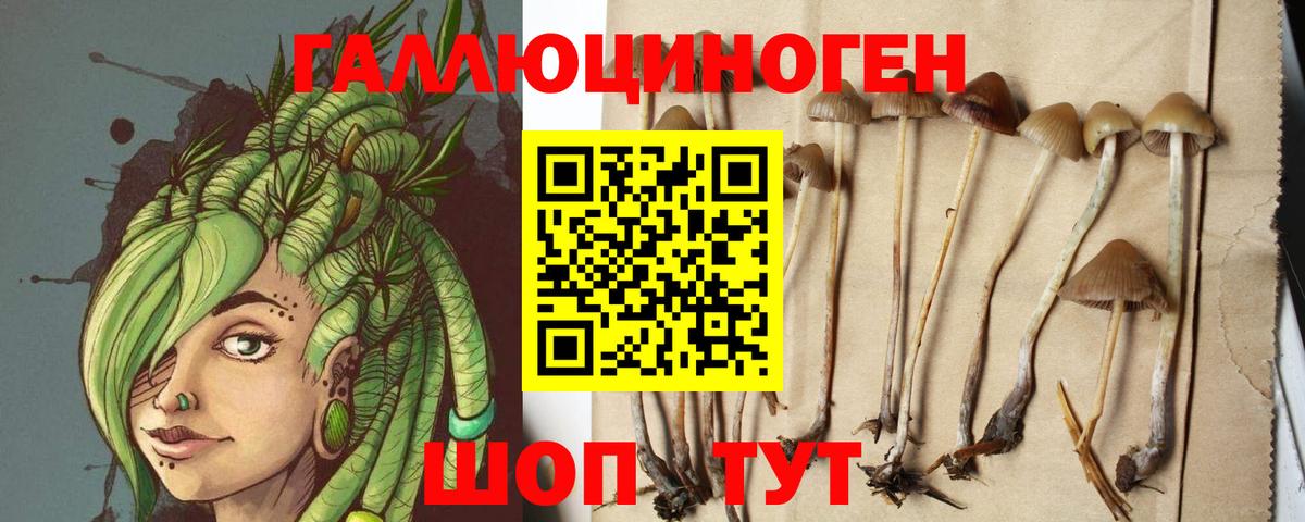 Псилоцибиновые грибы мицелий  Вход с VPN  Курчалой 