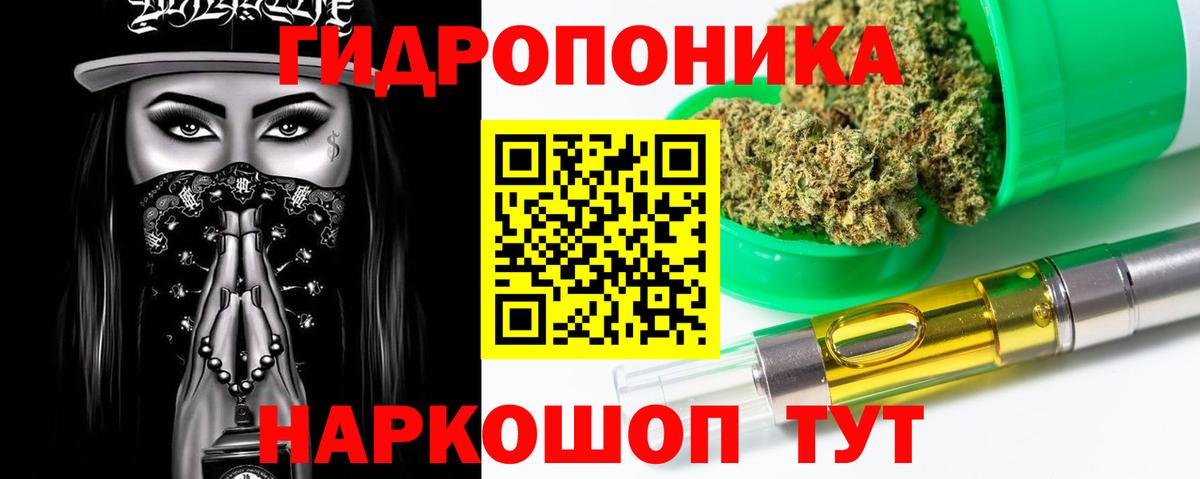 Марихуана марихуана Курчалой